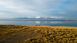 A landscape of North and Central Asia