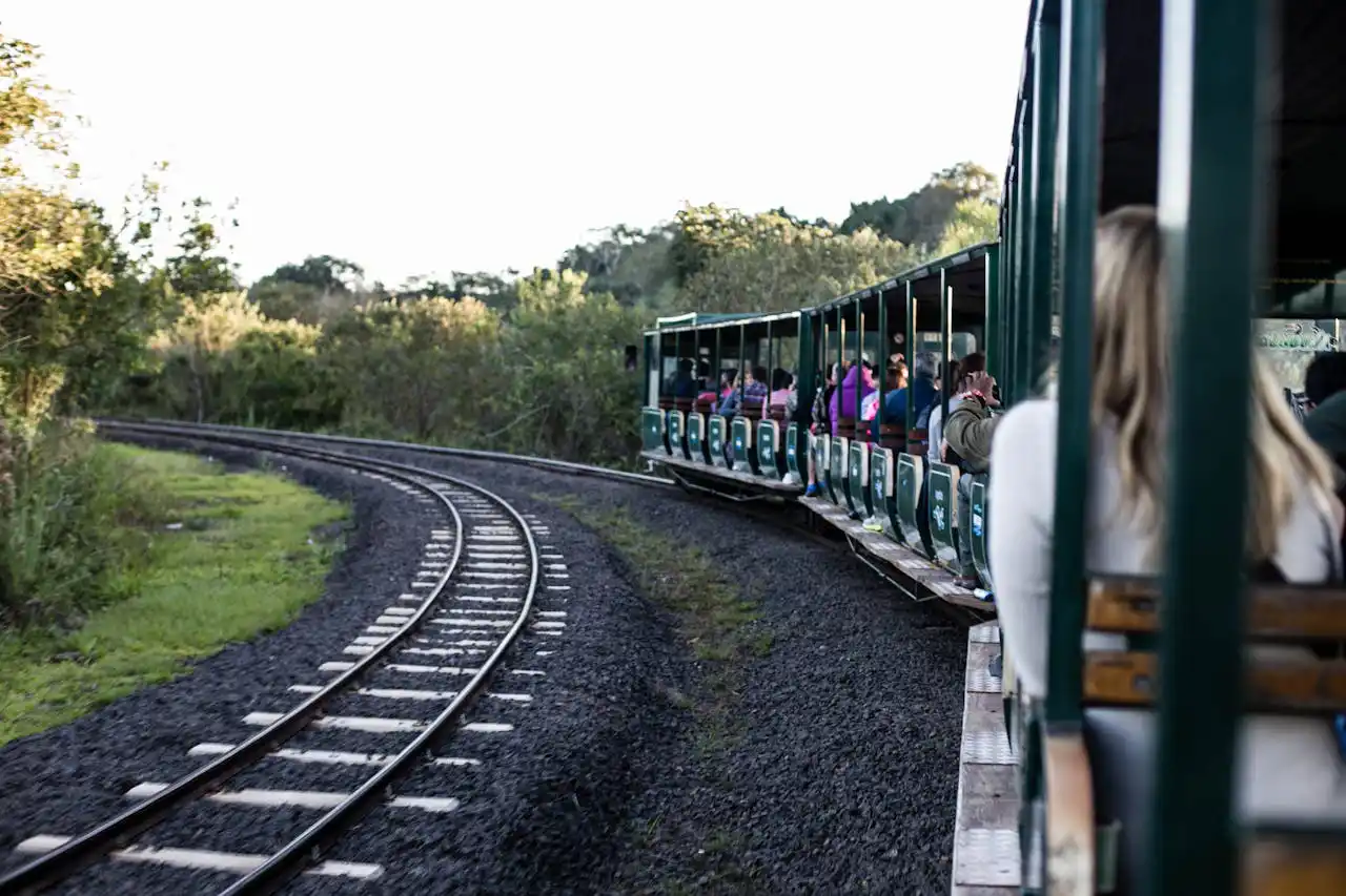 A group of people riding the train