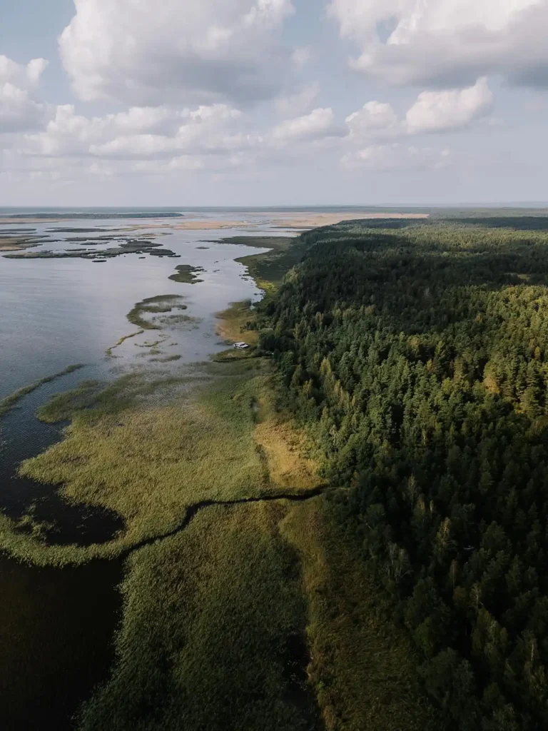 An aerial photo of a coastline and lush forest in Latvia Top 10 Fairytale Places